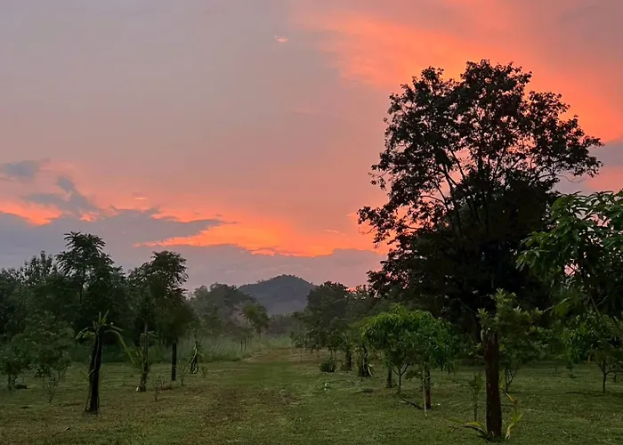 Cozy Farm Suanphueng