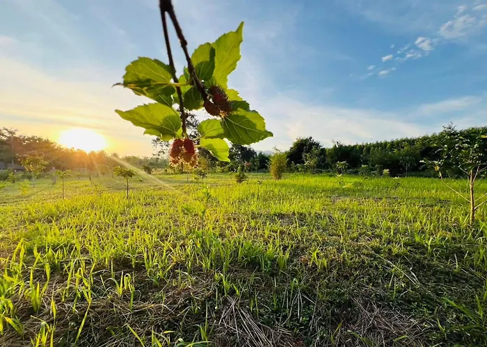 วันหยุดที่บ้าน Cozy Farm Suanphueng สวนผึ้ง