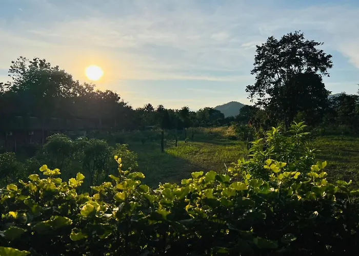 Cozy Farm Suanphueng วันหยุดที่บ้าน