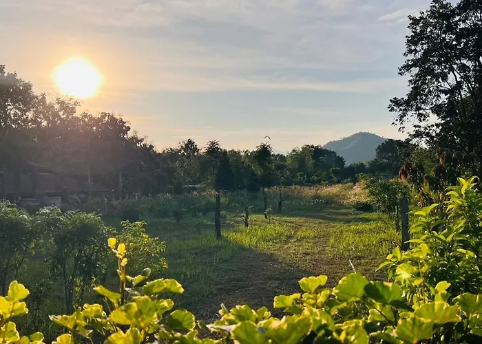 Cozy Farm Suanphueng สวนผึ้ง