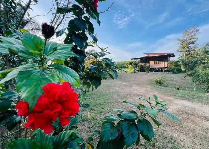 Cozy Farm Suanphueng