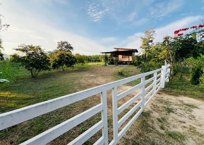 Cozy Farm Suanphueng สวนผึ้ง