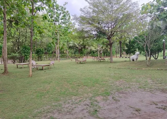 Cozy Farm Suanphueng *