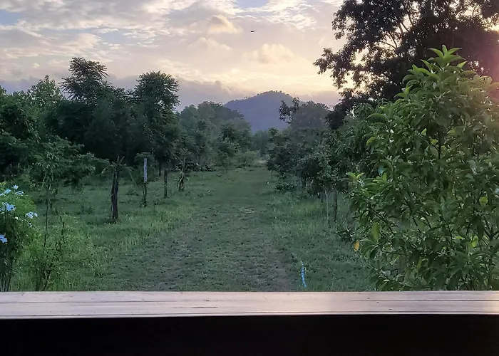 Cozy Farm Suanphueng สวนผึ้ง