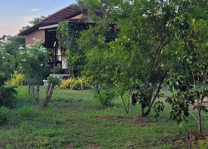 วันหยุดที่บ้าน Cozy Farm Suanphueng สวนผึ้ง